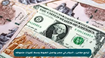 تراجع مفاجئ.. الدولار في مصر يواصل الهبوط وسط تغيرات ملحوظة